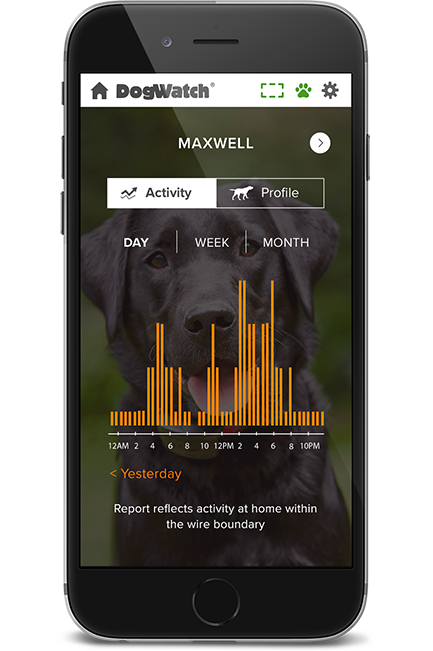 DogWatch by Heartland Pet Resort, Spencer, Iowa | SmartFence WebApp Image