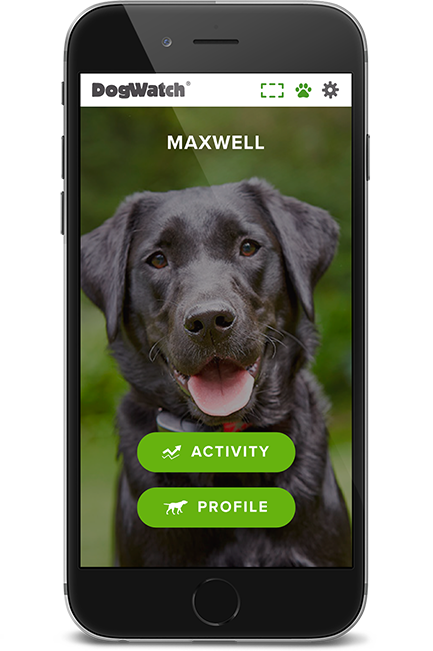 DogWatch by Heartland Pet Resort, Spencer, Iowa | SmartFence WebApp Image