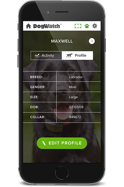 DogWatch by Heartland Pet Resort, Spencer, Iowa | SmartFence WebApp Image